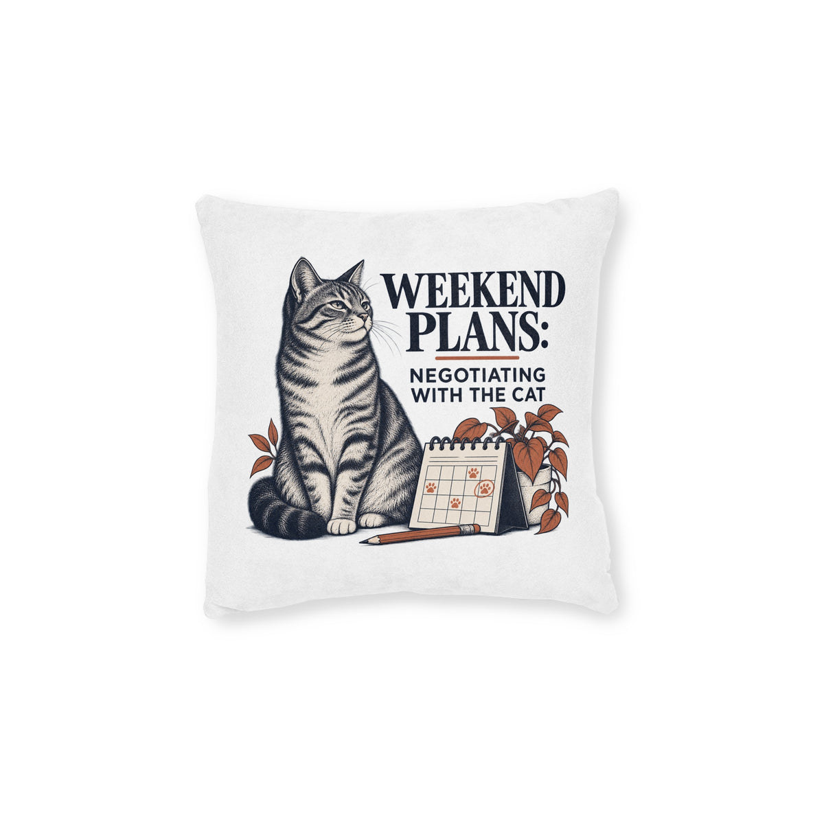 Funny Cat Cushion, Weekend Plans, Cat Lover Gift, 12 × 12 Inch with Insert