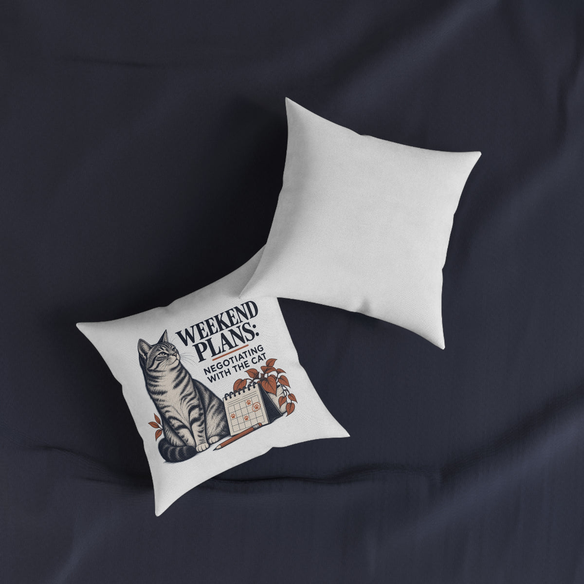 Funny Cat Cushion, Weekend Plans, Cat Lover Gift, 12 × 12 Inch with Insert