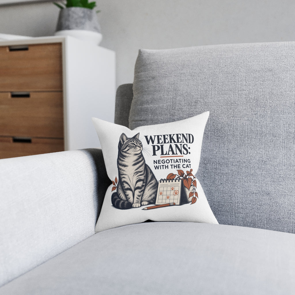 Funny Cat Cushion, Weekend Plans, Cat Lover Gift, 12 × 12 Inch with Insert
